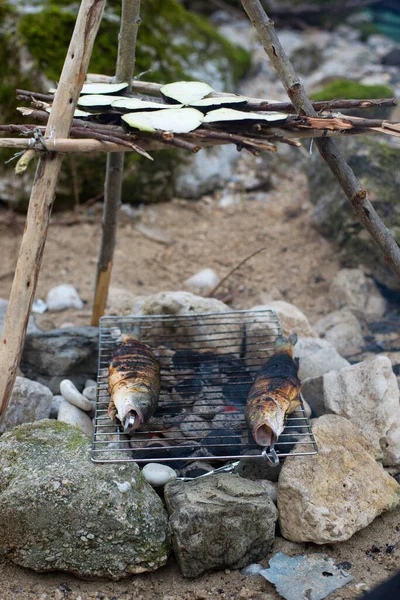 Açık Havada Balık Pişirmek Levrek Doğada Kamp Yapmak — Stok fotoğraf
