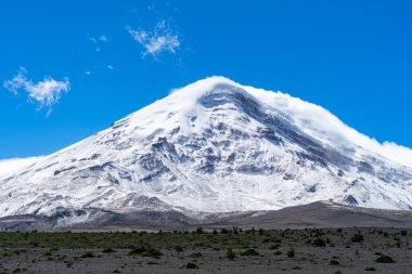 Ekvador 'daki Chimborazo Vahşi Yaşam Koruma Alanında vahşi yaşam