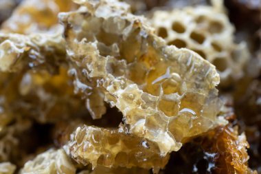 Arı kovanından bal tarağı