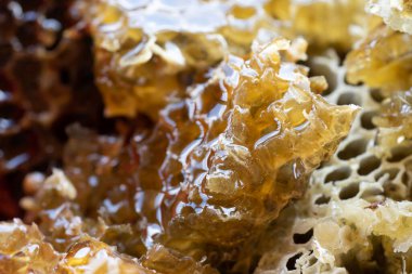 Arı kovanından bal tarağı