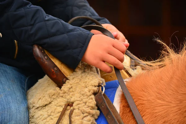 Července 2016 Rancho Fenix Tanicuchi Cotopaxi Ekvádor — Stock fotografie