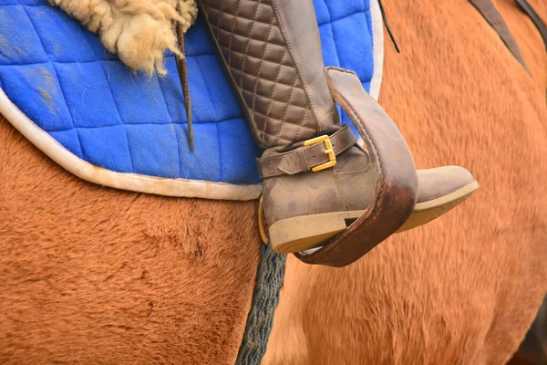 Července 2016 Rancho Fenix Tanicuchi Cotopaxi Ekvádor — Stock fotografie