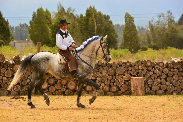 Rancho Fenix Latacunga Cotopaxi Ekwador Sierpnia 2016 Jeździec Ujeżdżeniu Koniem — Zdjęcie stockowe