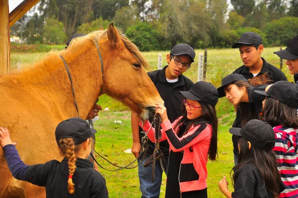 Młode Dzieci Młodzież Uczą Się Koniach — Zdjęcie stockowe