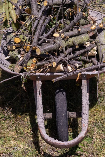 Old Wheelbarrow Full Firewood Ready Winter — Stock Photo, Image