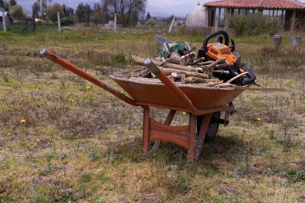 Wheelbarrow Full Firewood — Stock Photo, Image