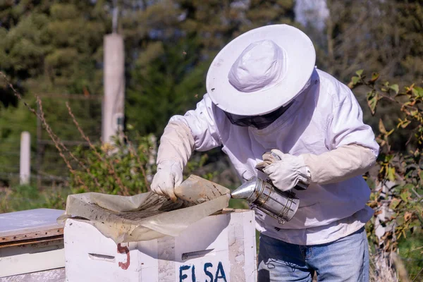 Man Beekeeping Field — Stock Photo, Image