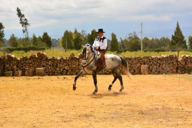 Rancho Fenix, Latacunga, Cotopaxi, Ekvador 12 Ağustos 2016. At binicisi