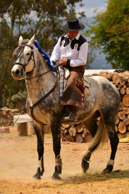 Rancho Fenix, Latacunga, Cotopaxi, Ekvador 12 Ağustos 2016. At binicisi