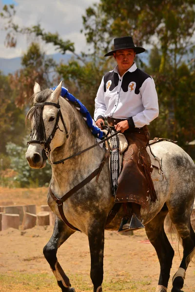 Rancho Fenix Latacunga Cotopaxi Ekvádor Srpna2016 Jezdec Dresech — Stock fotografie