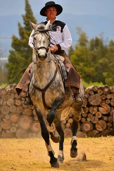 Rancho Fenix Latacunga Cotopaxi Ekvádor Srpna2016 Jezdec Dresech — Stock fotografie