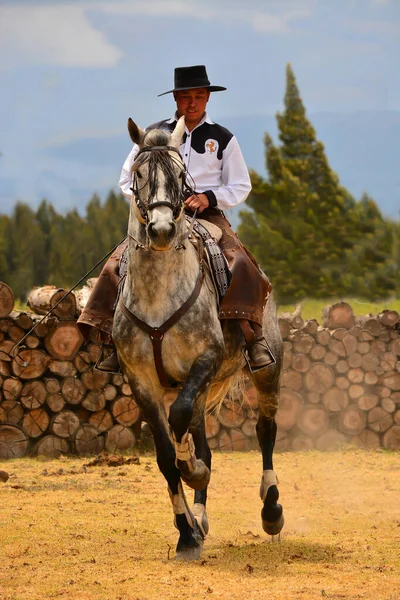 Rancho Fenix Latacunga Cotopaxi Ekwador Sierpnia 2016 Jeździec Ujeżdżeniu — Zdjęcie stockowe