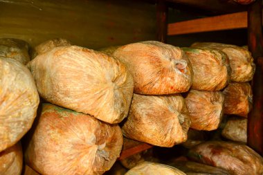 Mantarların yetiştiği yerde torbalar dolusu testere tozu