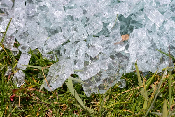 A close up of Shattered glass on the grass