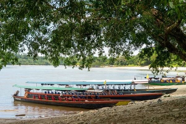 Canoas Praia Misahualli Província Napo Equador — Fotografia de Stock