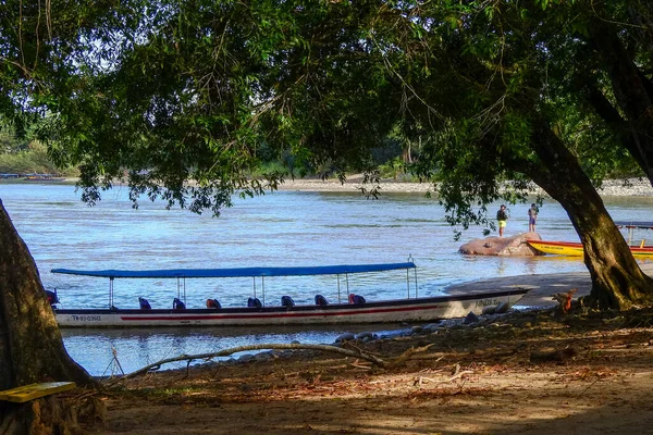 Canoas Praia Misahualli Província Napo Equador — Fotografia de Stock