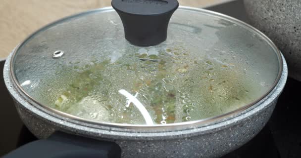 石鍋で皿を煮込む — ストック動画
