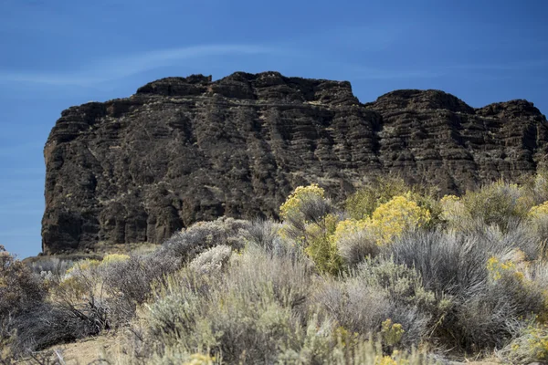 Részlet, Fort Rock State Park, Közép-Oregon — Stock Fotó