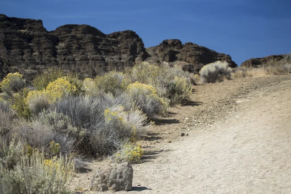 Trail, Fort Rock State Park, Central Oregon — Stock Photo, Image