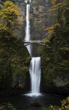 Multnomah Falls: Portland Oregon