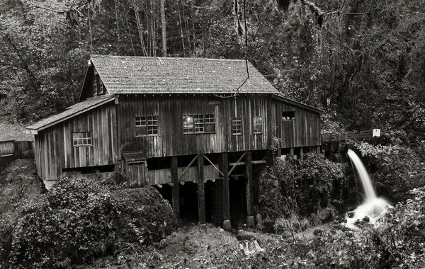 Cedar Creek Grist Mill, 1876 — Foto Stock