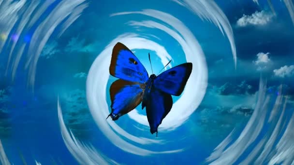 Blauer Schmetterling in Wolken — Stockvideo