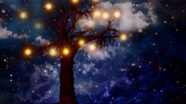 光之树 — 图库视频影像