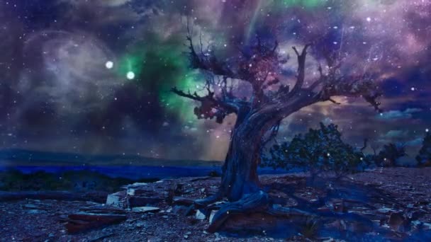 Viejo árbol en árida tierra rocosa. Cañón en el horizonte — Vídeos de Stock