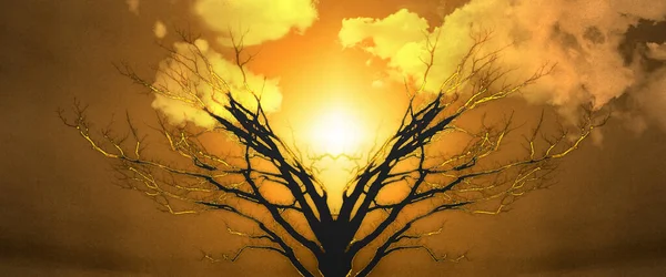 Tree of Life — Stock Photo, Image