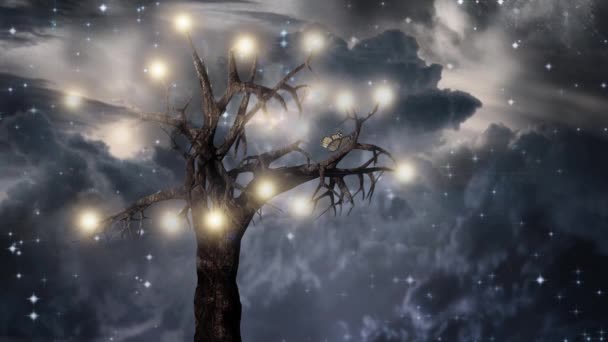 Drzewo Światła — Wideo stockowe