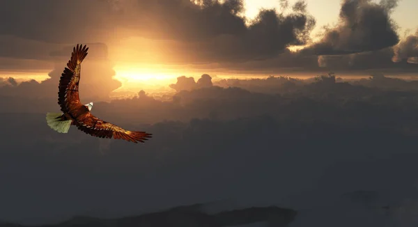 Águila en vuelo sobre paisaje nuboso dramático —  Fotos de Stock