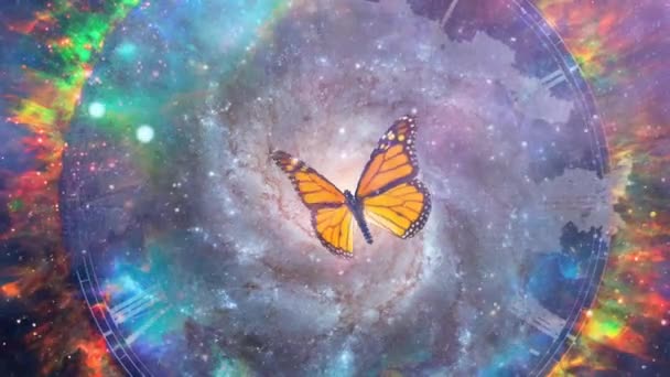 Бабочка и галактика — стоковое видео