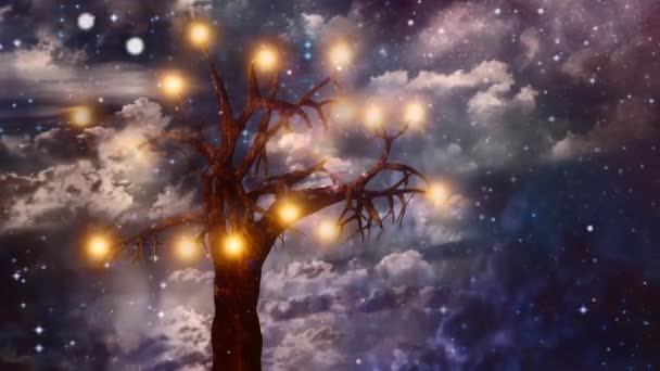 Baum des Lichts — Stockvideo