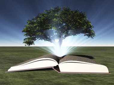 kitap ağacı
