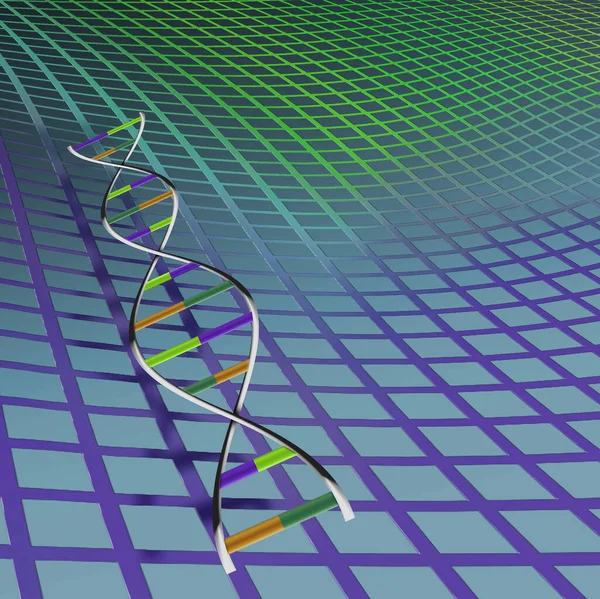 DNA-strängar och -rutnät — Stockfoto