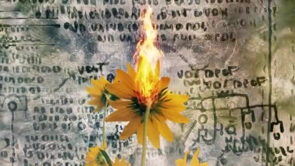 Flor amarela e fogo ardente — Vídeo de Stock