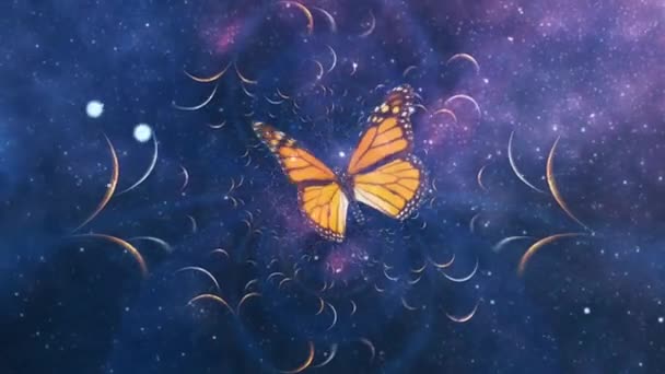 Πεταλούδα στο φράκταλ γαλαξία — Αρχείο Βίντεο