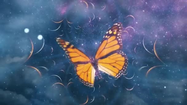 Butterfly in galaxy fractal — Stock Video