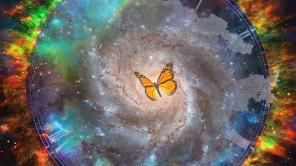 Motýl a galaxie — Stock video