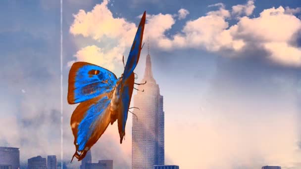 Motyl na drapaczu chmur — Wideo stockowe