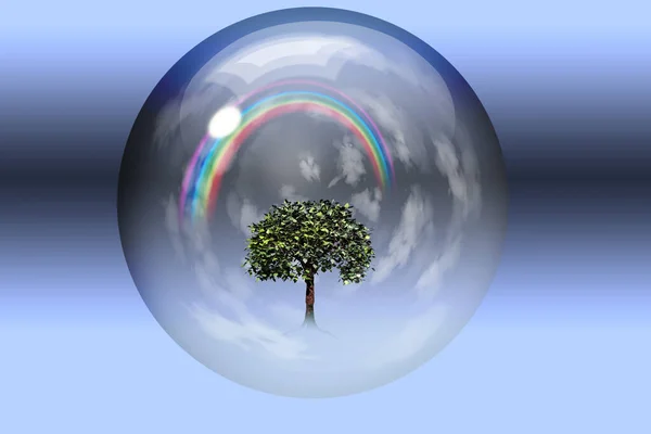 Arcobaleno e albero verde — Foto Stock