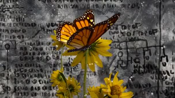 Mariposa sobre flores amarillas — Vídeo de stock