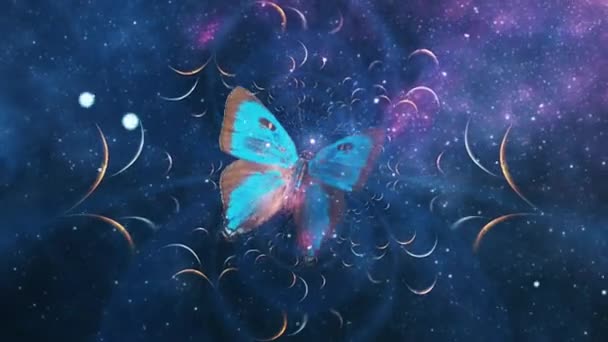 Mariposa en galaxia fractal — Vídeo de stock