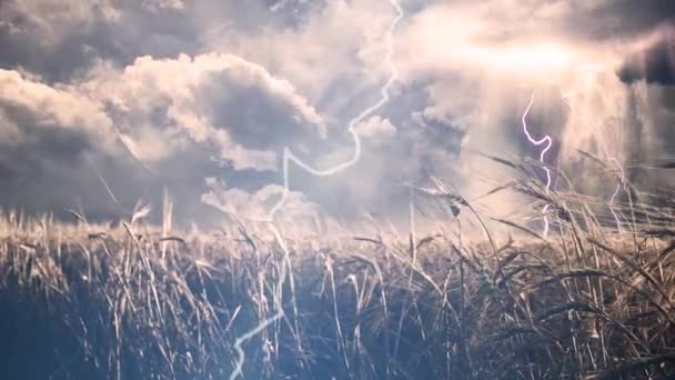 Tormenta sobre el campo — Vídeos de Stock