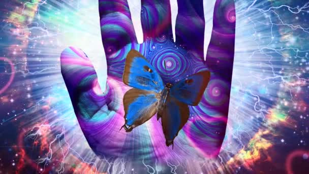 Farfalla sulla mano di Dio — Video Stock