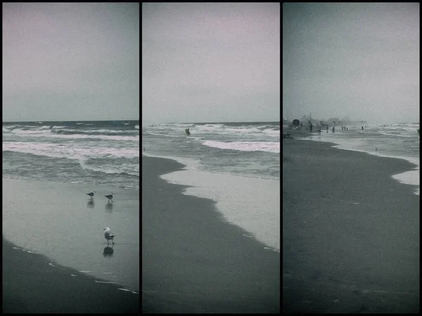 Přímořská Pláň Výhled Mořskou Pláž Oblačném Dni — Stock fotografie