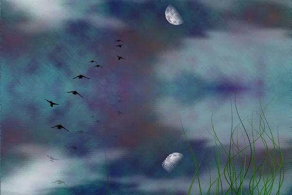 Surrealism Symbolism Birds Flies Moon Free Souls Rendering — Stock Photo, Image