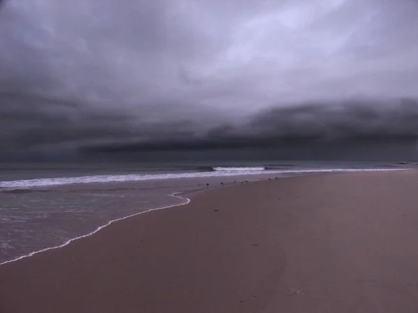 Písečné Pobřeží Oceánu Vykreslování — Stock fotografie