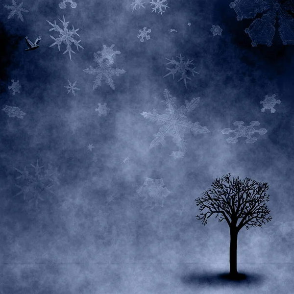 Drzewa Zimowe Płatki Śniegu — Zdjęcie stockowe