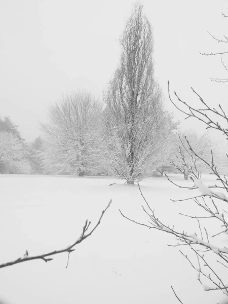 Beautiful Winter Landscape Countryside — Stockfoto